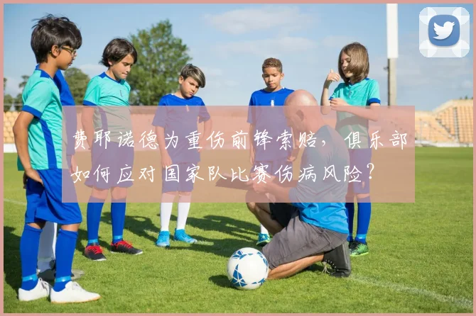 费耶诺德为重伤前锋索赔,俱乐部如何应对国家队比赛伤病风险?